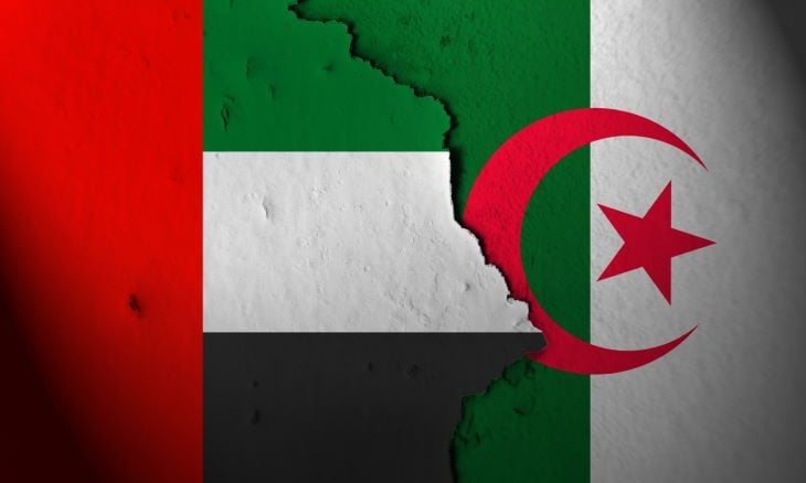 هكذا وقعت الجزائر في “فخ الإمارات”.. والوضع أكثر خطورة مما يُعتقد