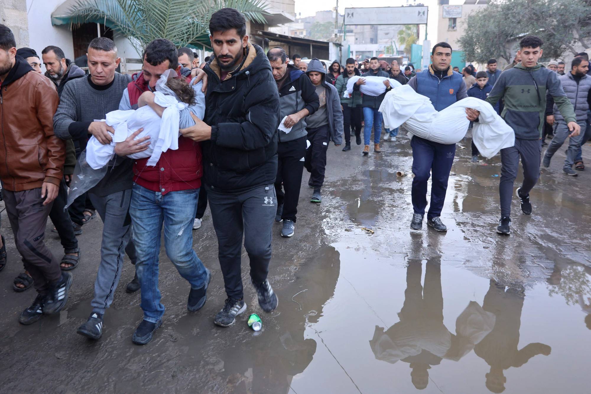بابا الفاتيكان عن غزة: هذه وحشية وليست حرباً